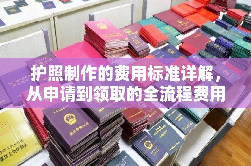 纳雍护照制作的费用标准详解，从申请到领取的全流程费用指南